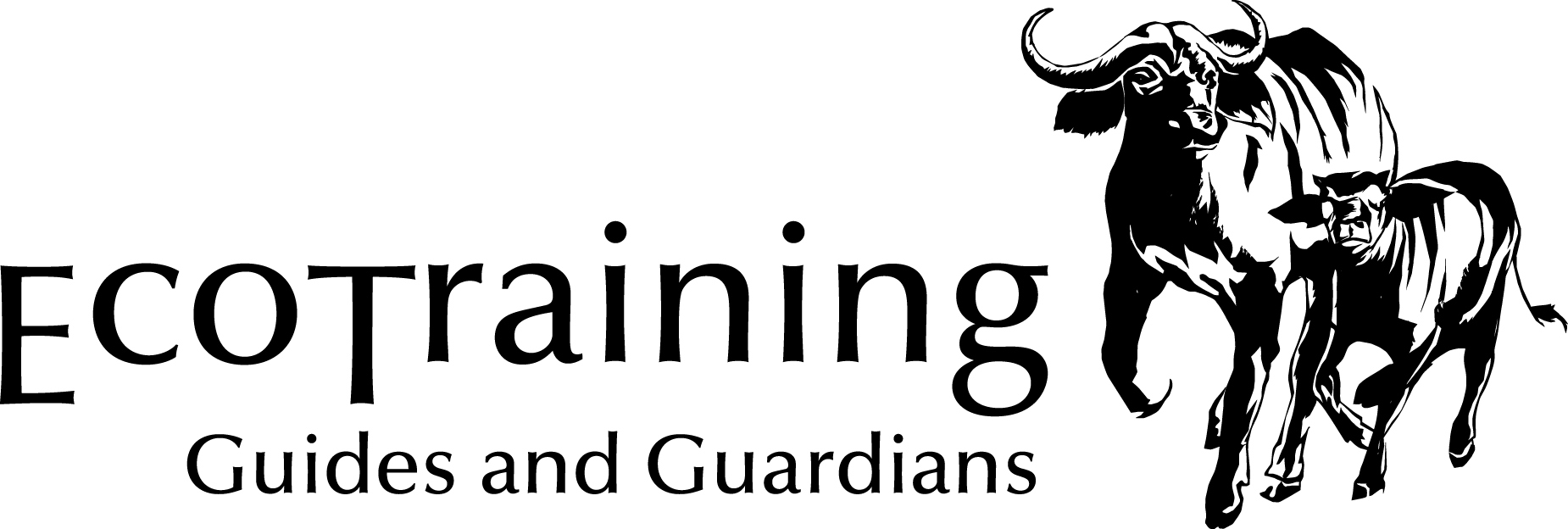 EcoTraining Logo_black